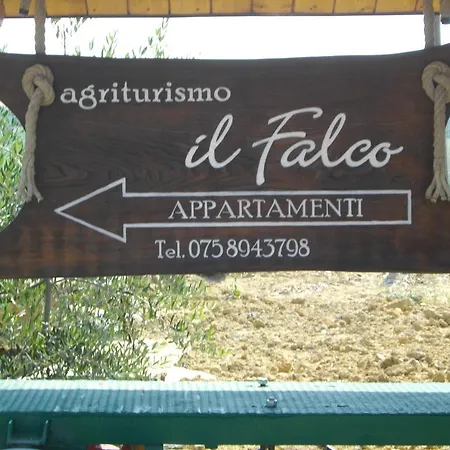 Agriturismo Il Falco Todi Exterior foto
