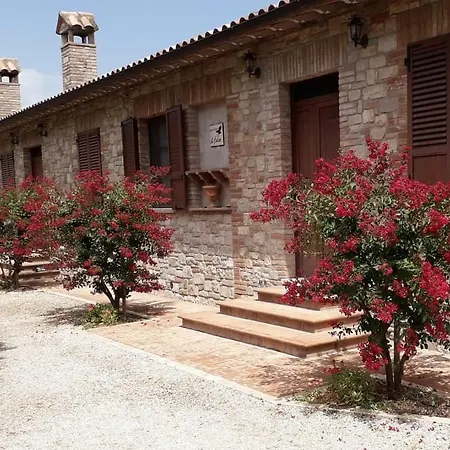 Agriturismo Il Falco Todi Exterior foto