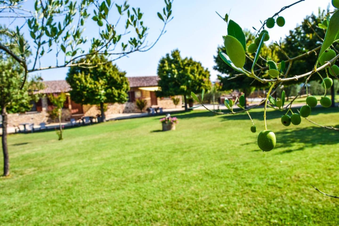 Farm stay Il Falco Todi