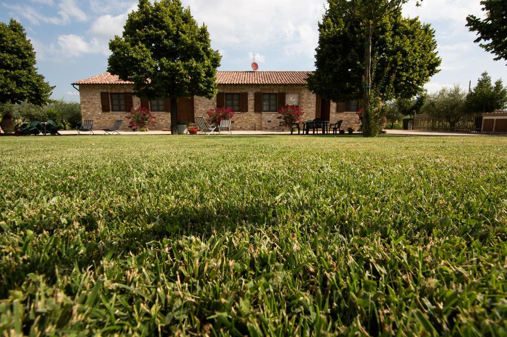 Farm stay Il Falco