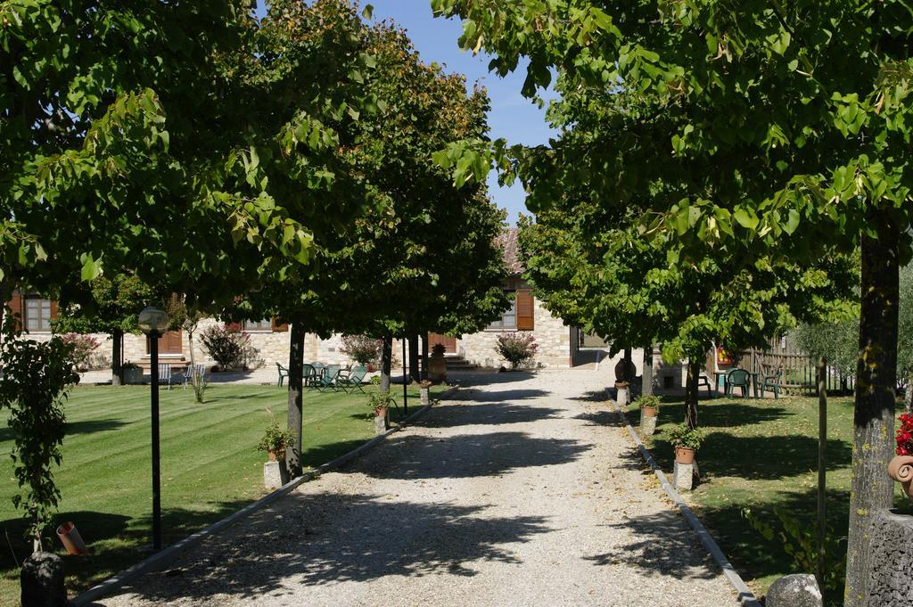 Il Falco