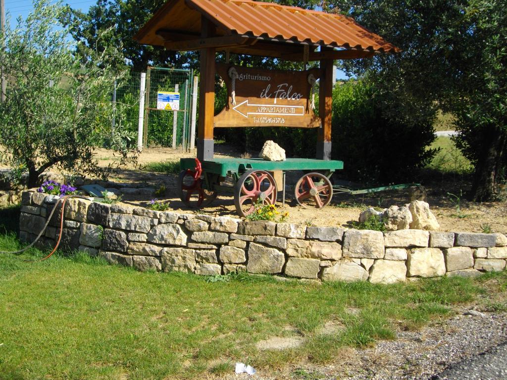 Farm stay Il Falco Todi