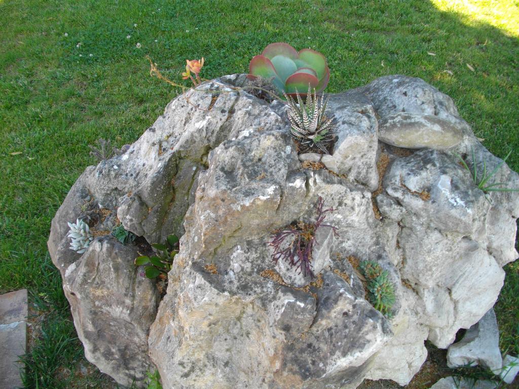 Farm stay Il Falco Todi