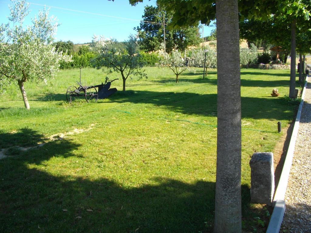 Farm stay Il Falco
