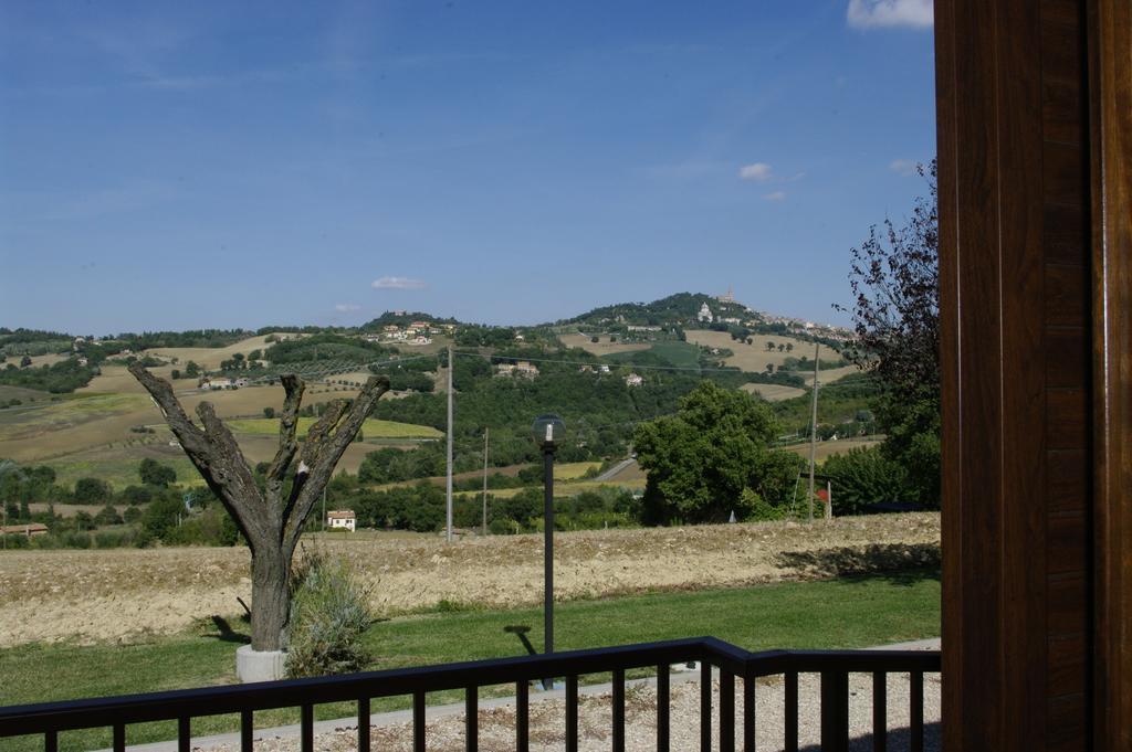 Il Falco