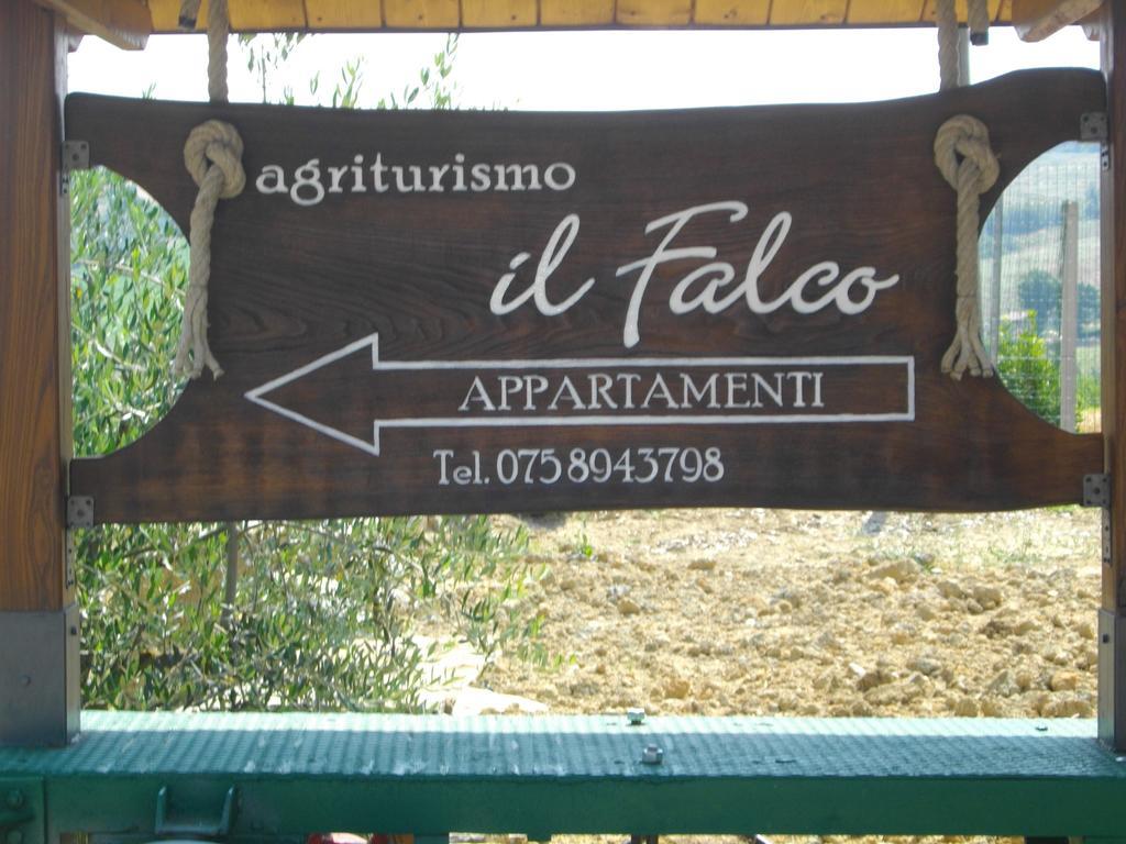 Il Falco * Todi